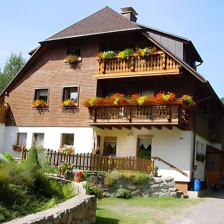 Haus Maria Apartment Todtnau Bagian luar foto