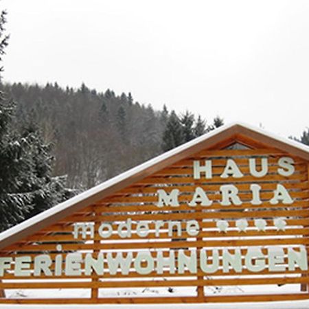 Haus Maria Apartment Todtnau Bagian luar foto