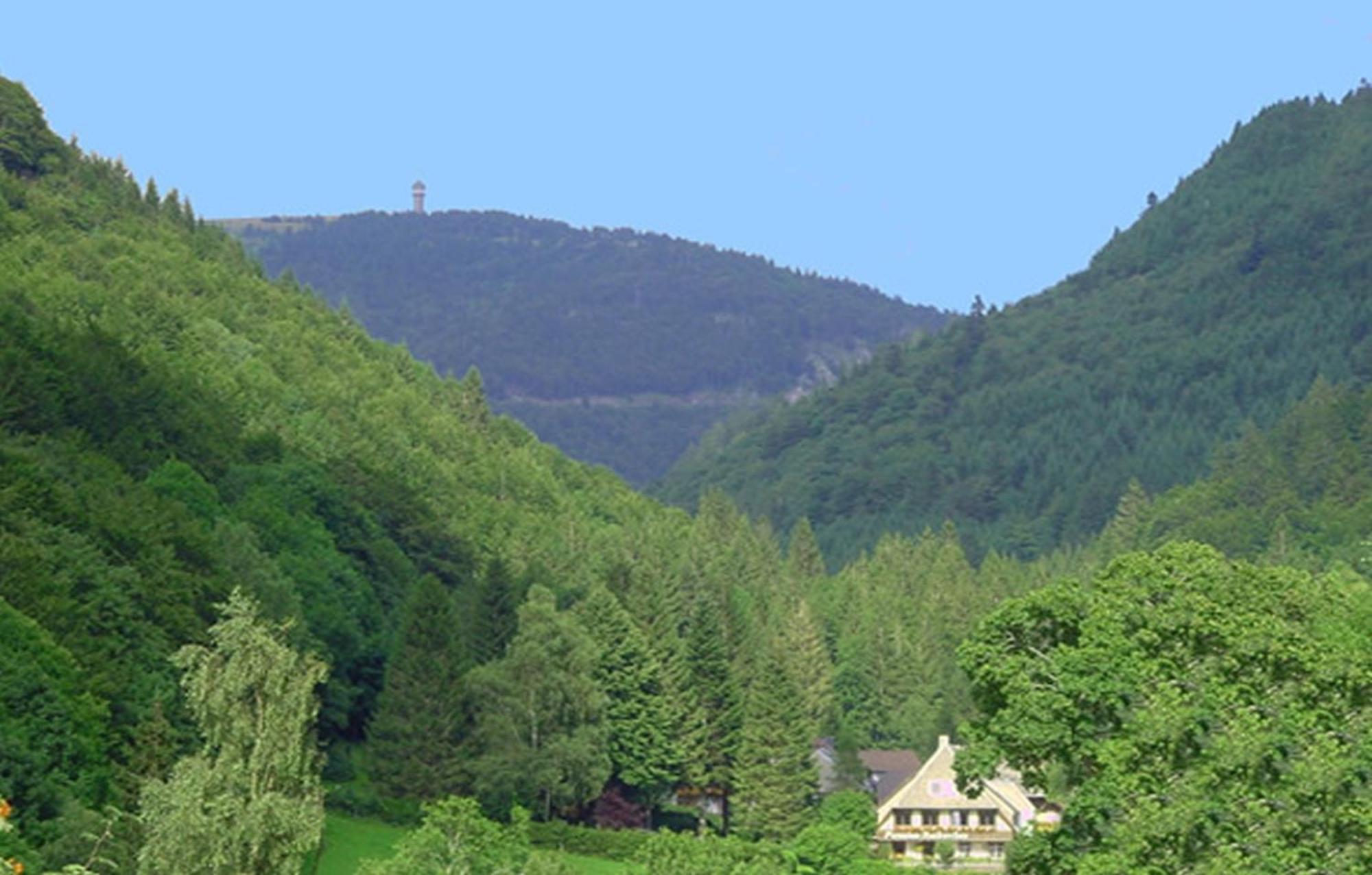 Haus Maria Apartment Todtnau Bagian luar foto