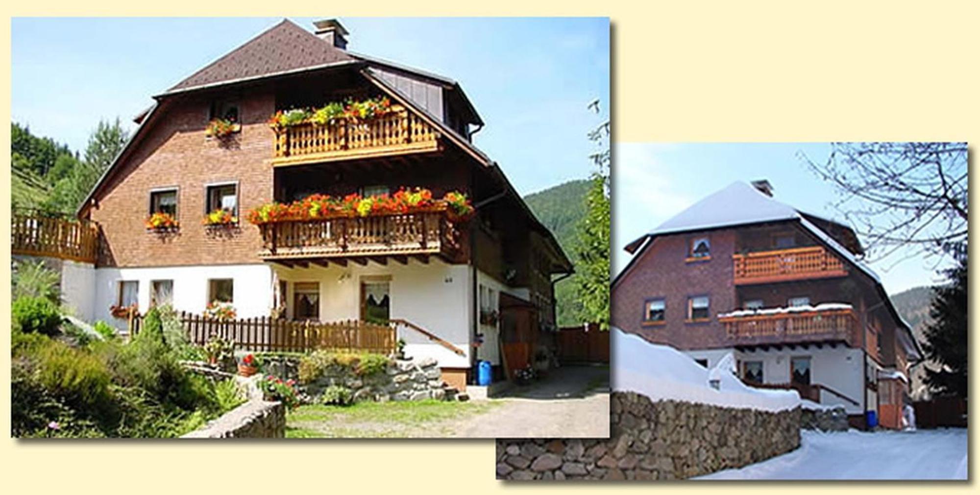Haus Maria Apartment Todtnau Bagian luar foto