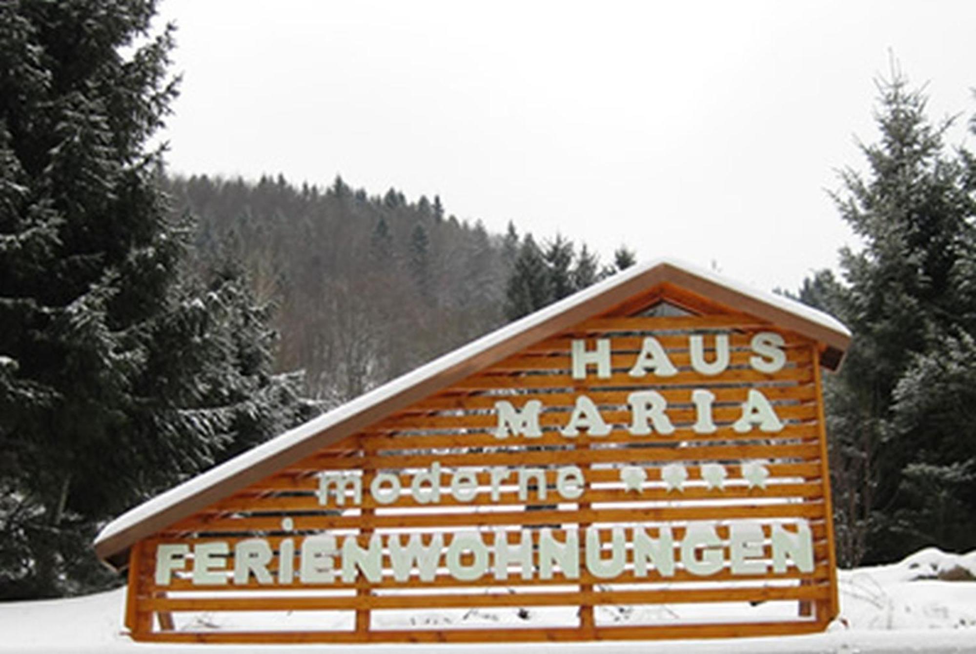 Haus Maria Apartment Todtnau Bagian luar foto
