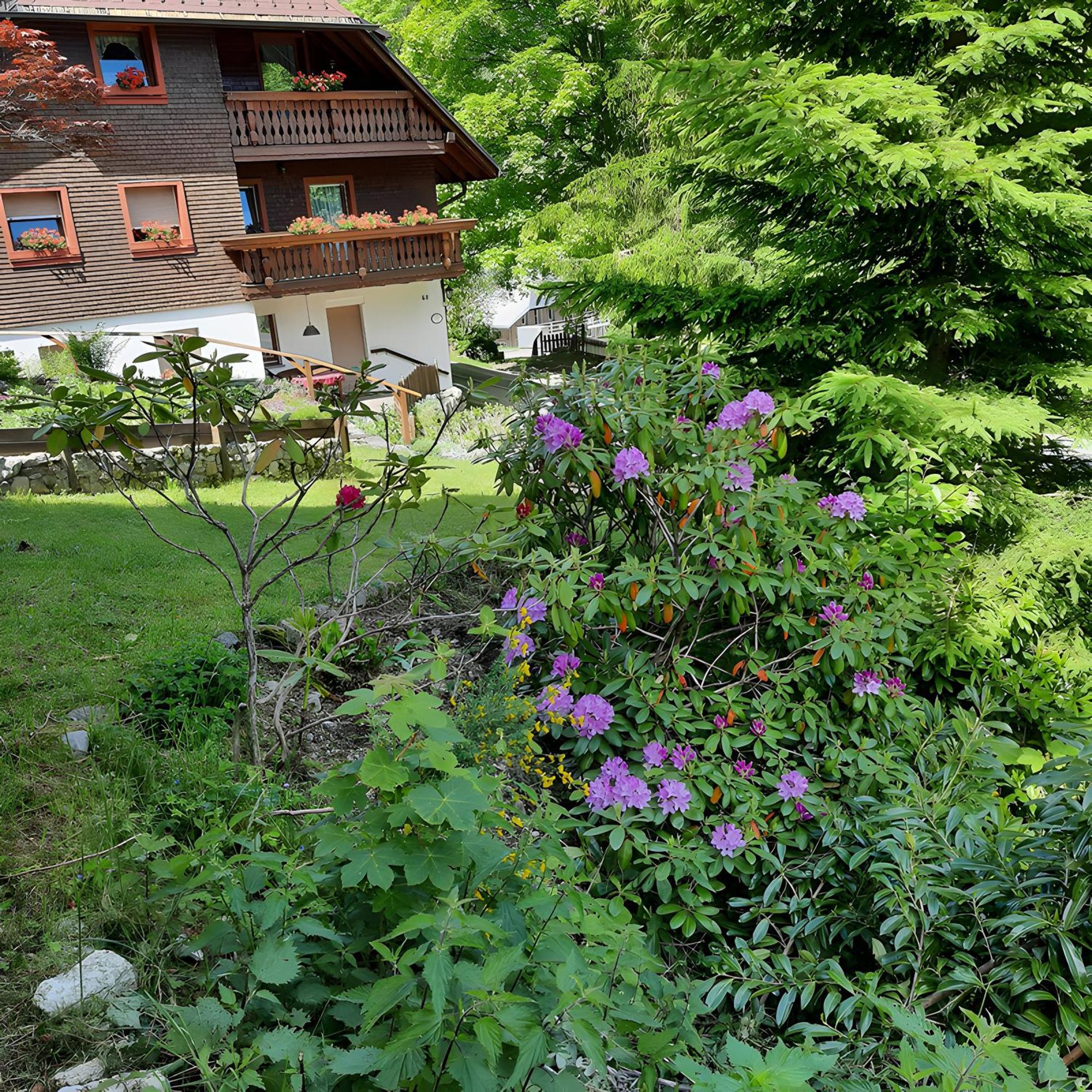 Haus Maria Apartment Todtnau Bagian luar foto