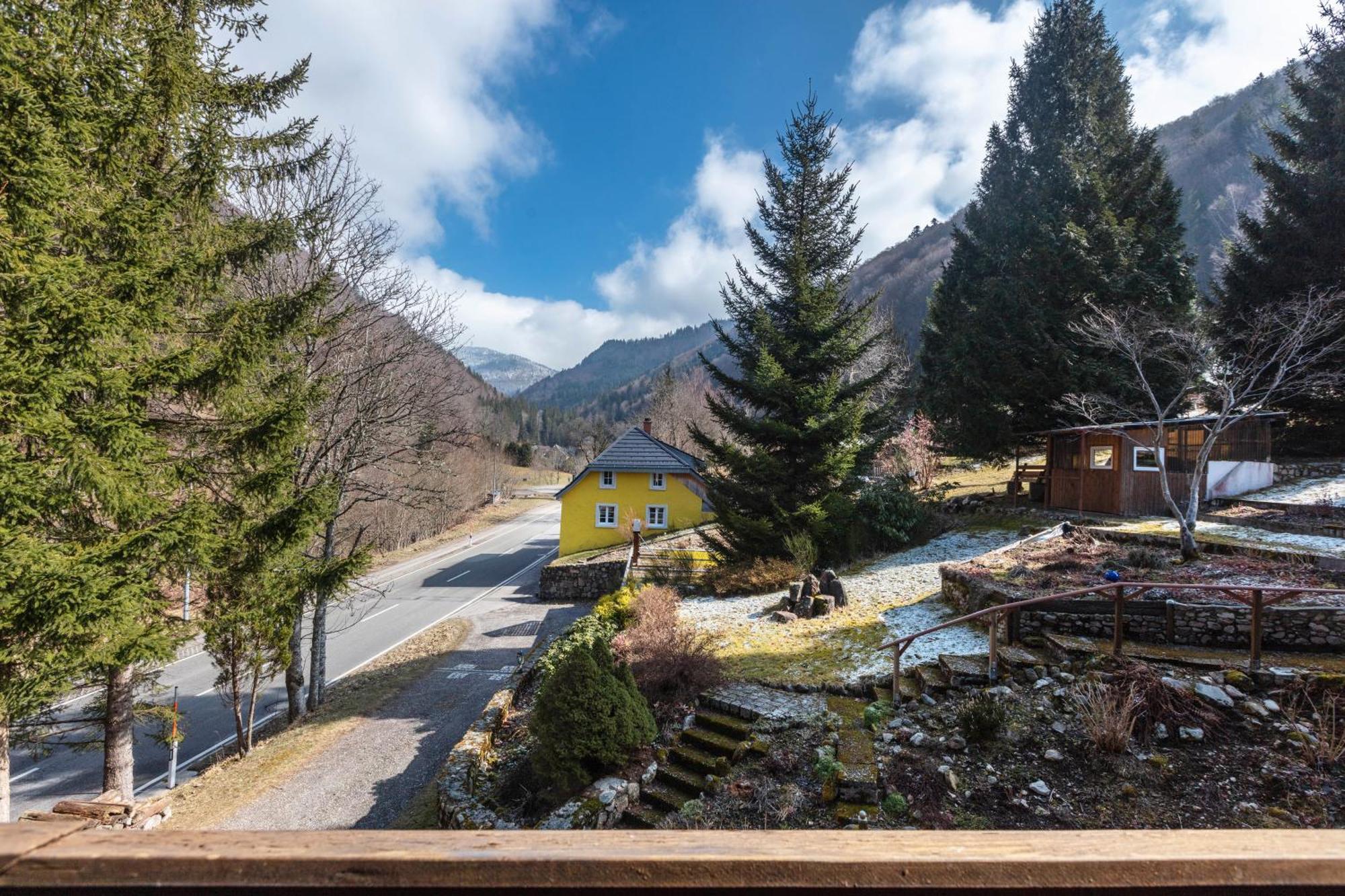 Haus Maria Apartment Todtnau Bagian luar foto
