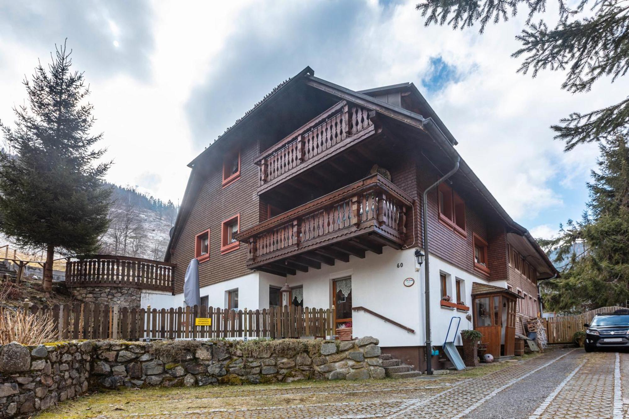 Haus Maria Apartment Todtnau Bagian luar foto